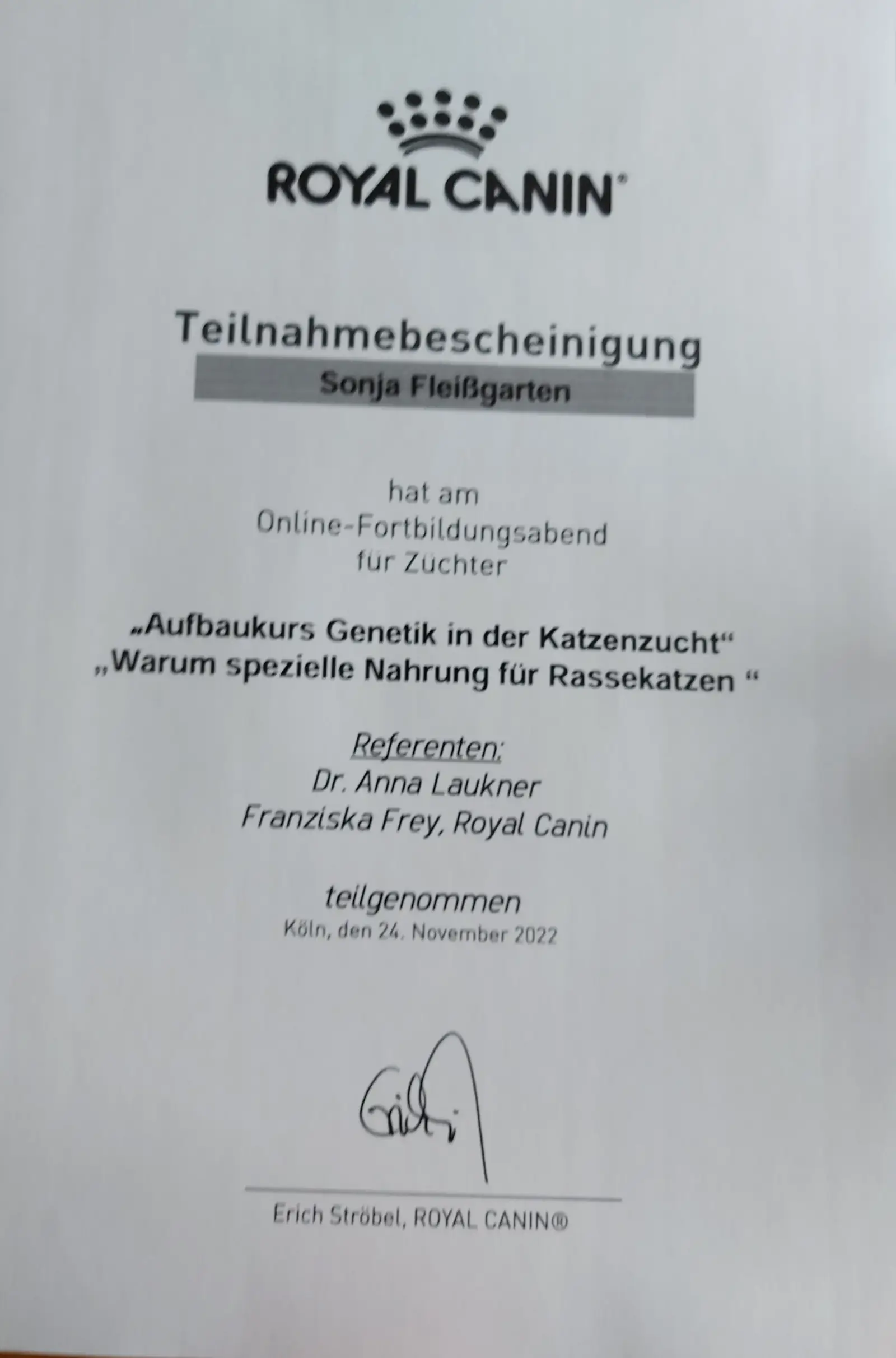 Fortbildungszertifikat: Katzengenetik – Aufbaukurs