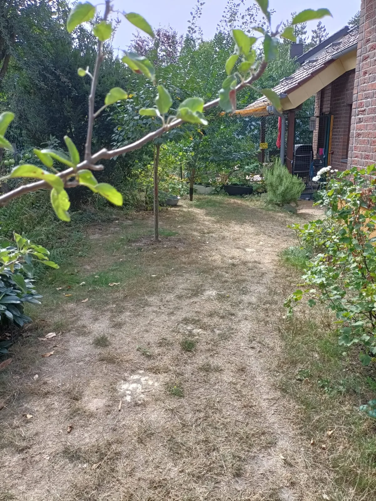 Gartenweg entlang des Hauses mit Bepflanzung – Teil des gesicherten Außengeheges