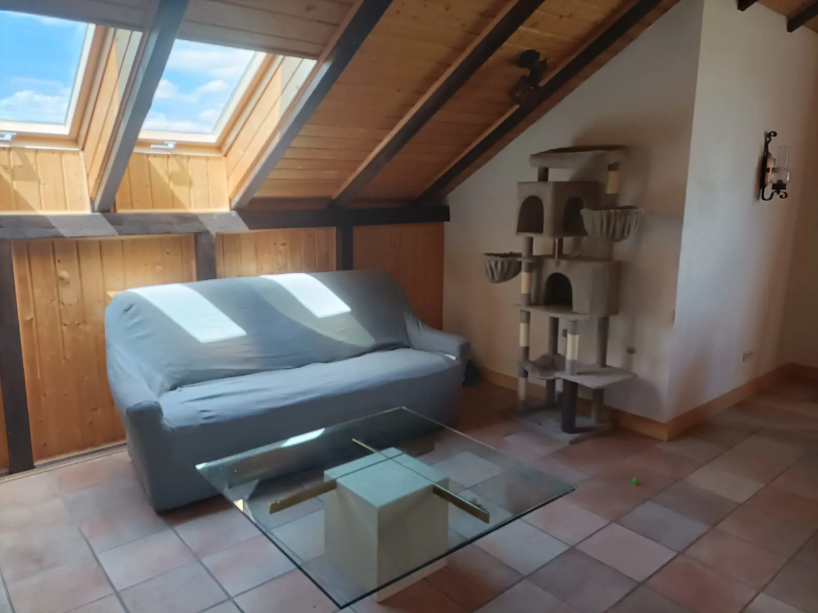 Katzenzimmer im Dachgeschoss mit Sofa, Kratzbaum und Dachfenstern